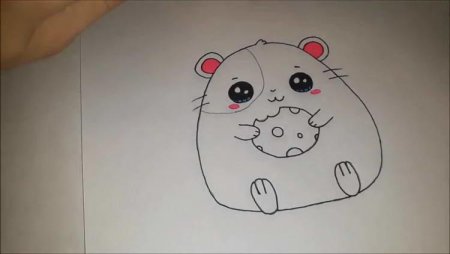 Нарисовать хомяка карандашом