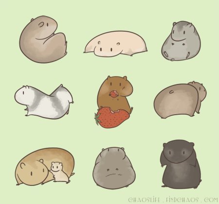 Хомяк скетч