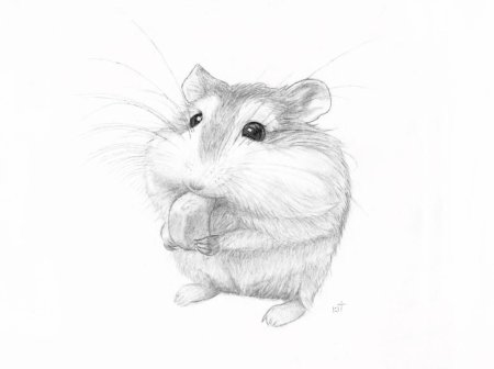 Рисунки хомяка лёгкие