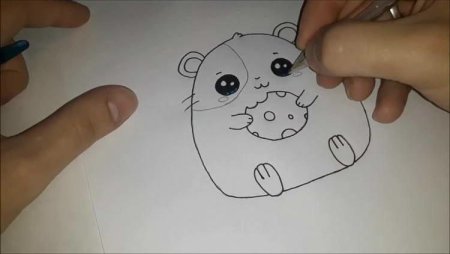 Рисунки хомяк легкие маркерами
