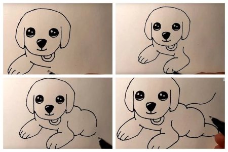Как нарисовать собаку легко