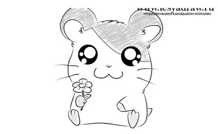 Рисунок хомяка карандашом для срисовки