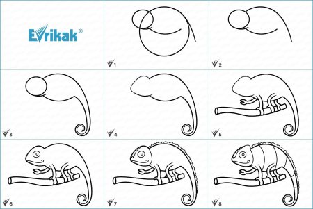 Маленькие рисунки для срисовки животных