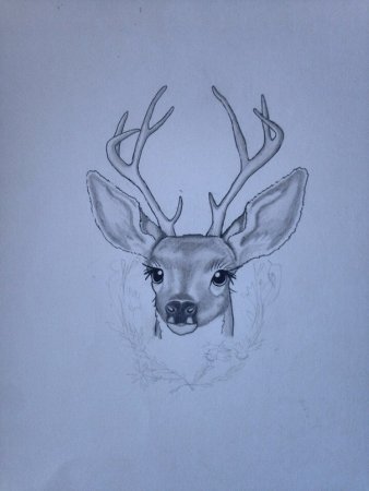 Срисовка оленя легко