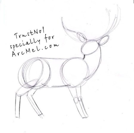 Олень рисунок карандашом для детей