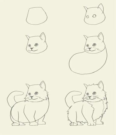 Рисунки котят карандашом для начинающих