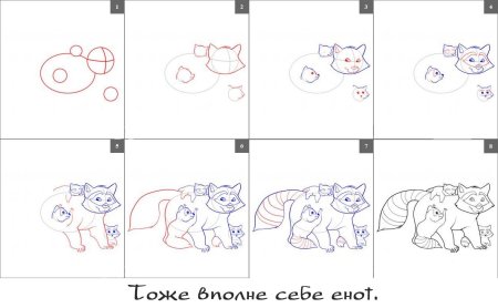 Поэтапный рисунок енота