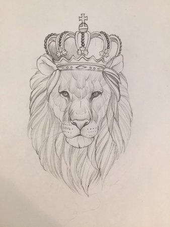 Эскиз тату львица с короной