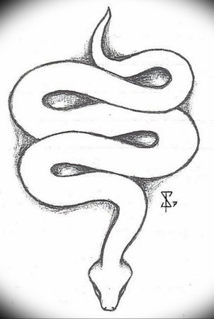 Змейка рисунок легкий