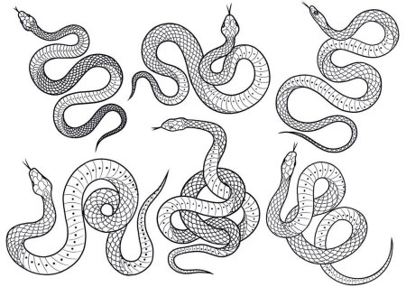 Змея вид сбоку эскиз