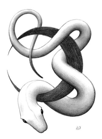 Две переплетенные змеи