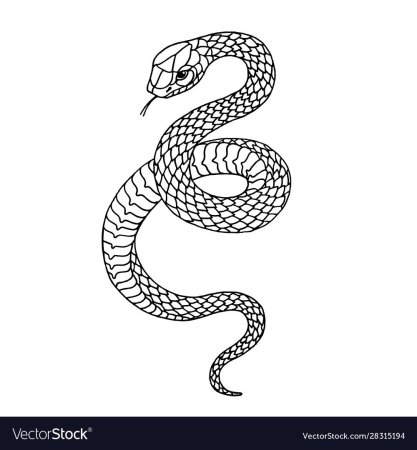 Эскизы тату змеи чёрные маленькая