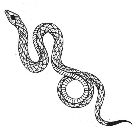 Контурные тату змея