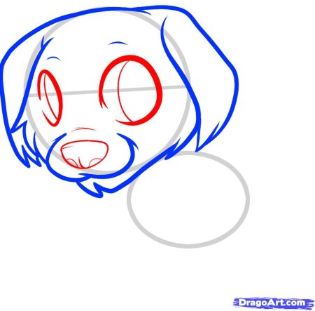 Нарисовать милую собачку карандашом поэтапно