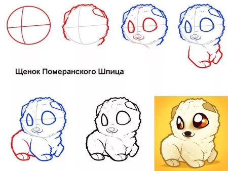Как рисовать щенка