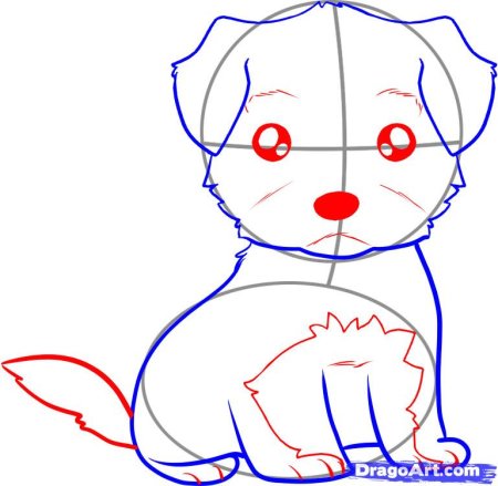 Рисунки для срисовки лёгкие собаки