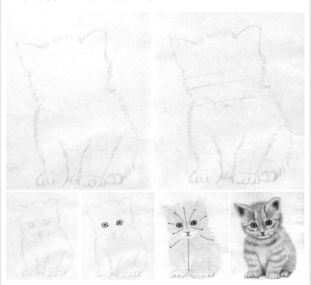 Котёнок рисунок карандашомлегко