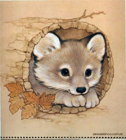 Рисунки на животе