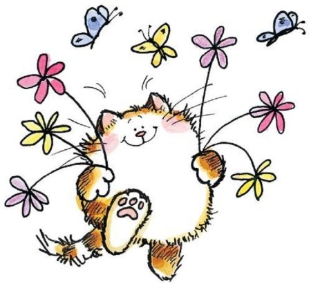 Рисунки Марины Федотовой мишки