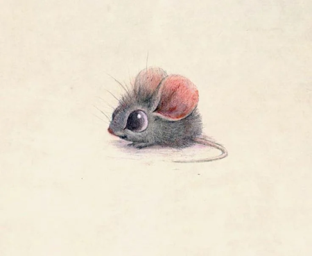 Сидни Хэнсон Sydney Hanson