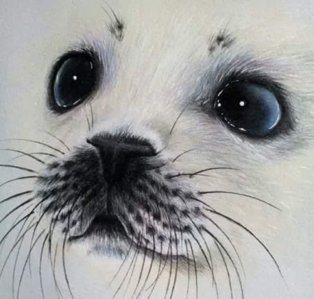 Рисунки милых животных