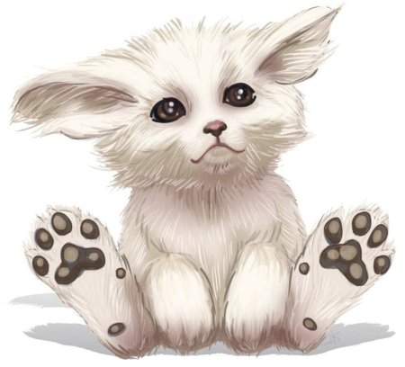 Алмазная мозаика коала