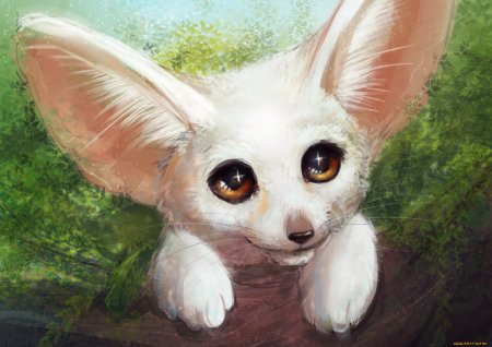 Наоми Лорд Чиби животные