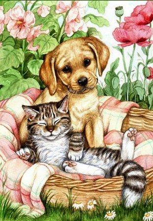 Щенок и котенок