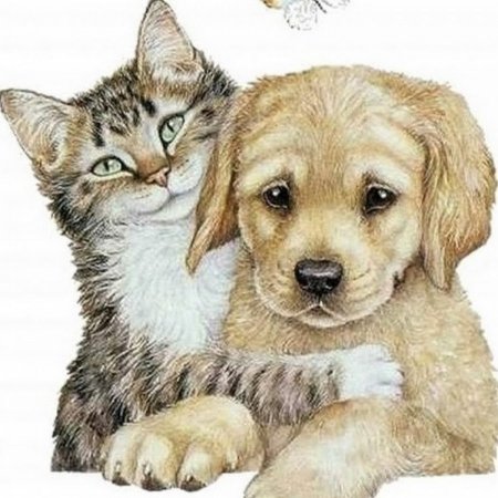 Рисовать кошку и собаку