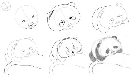 Рисуем зверюшек пошаговый