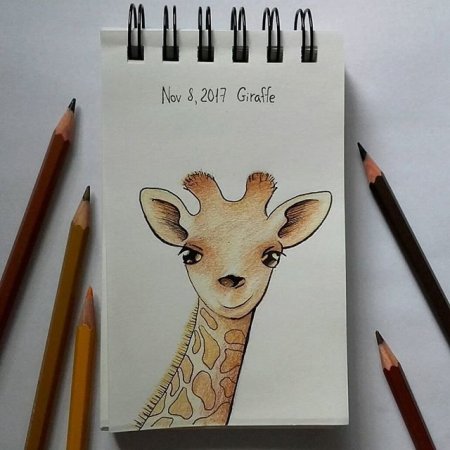 Животные для скетчбука