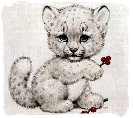 Нарисовать милого тигренка