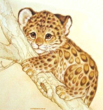 Леопард рисунок