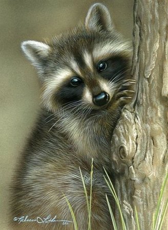 Художник Ребекка Латам