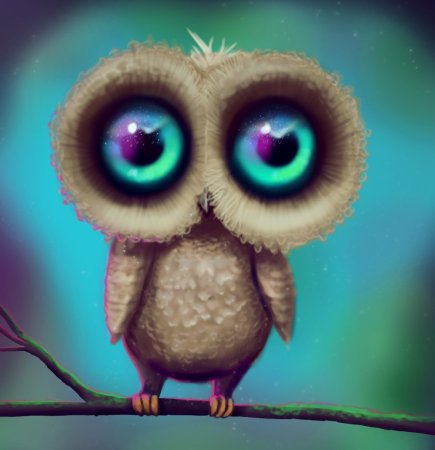 Совенок с большими глазами