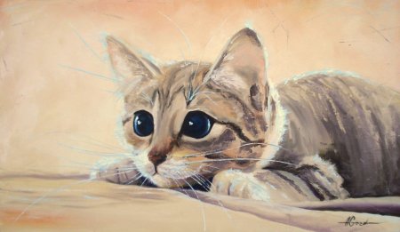 Котик гуашью