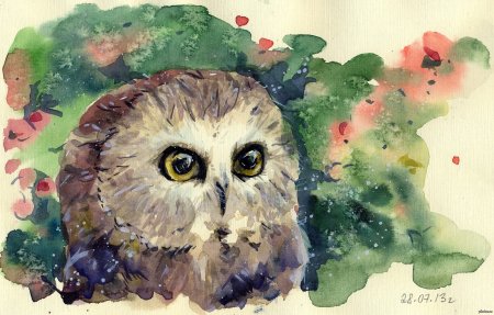 Сова акварелью
