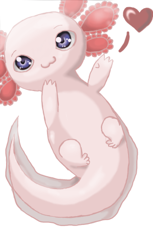 Аксолотль Кавайи