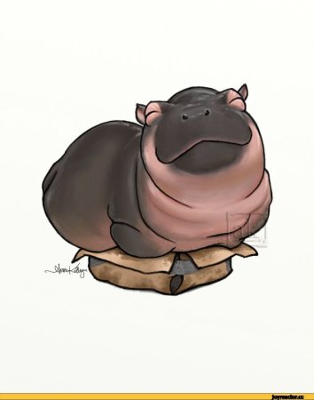 Толстый Бегемотик милый