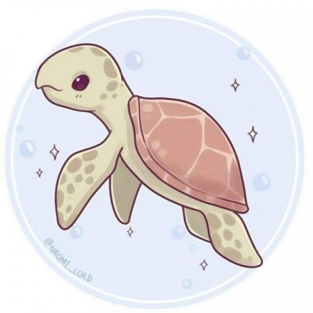 Наоми Лорд животные черепаха