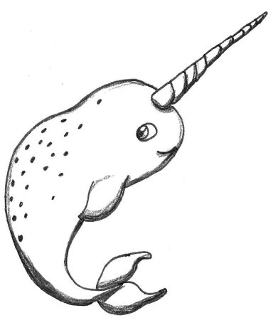 Кит нарвал рисунок