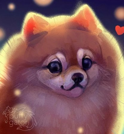 Померанский шпиц арт