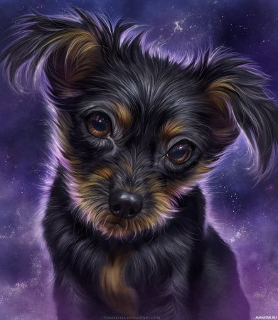 Красивые арты собак