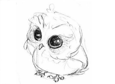 Панда рисунок карандашом