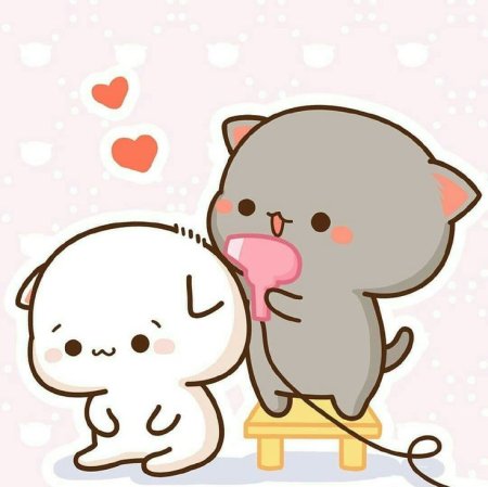 Кавайные котики парочка