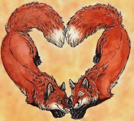 Лиса обнимает волка