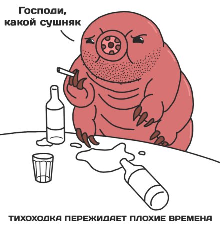 Тихоходка приколы
