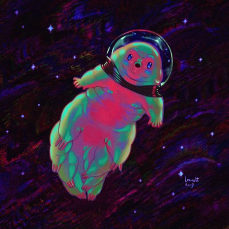 Тихоходка космонавт