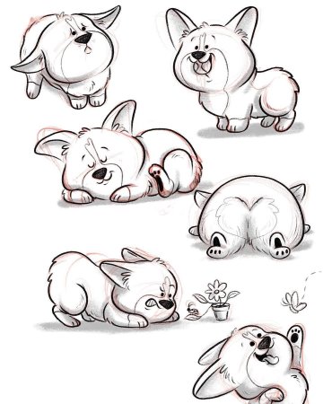 Скетчи животных