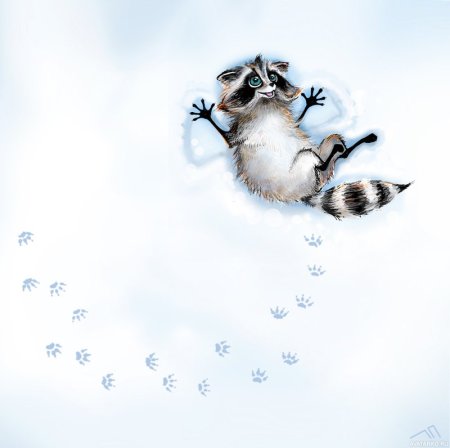 Енот в тумане